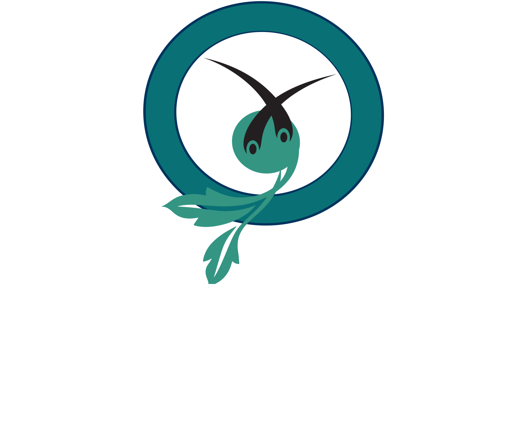 Recover Hair Transplant Centre